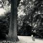 img-20250623-wa0003.jpg